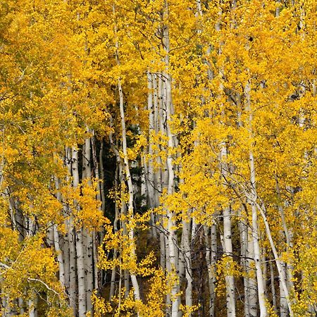 Aparthotel Aspen Springs Angel Fire Zewnętrze zdjęcie